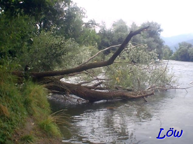 21.8.2025 - Murgestade